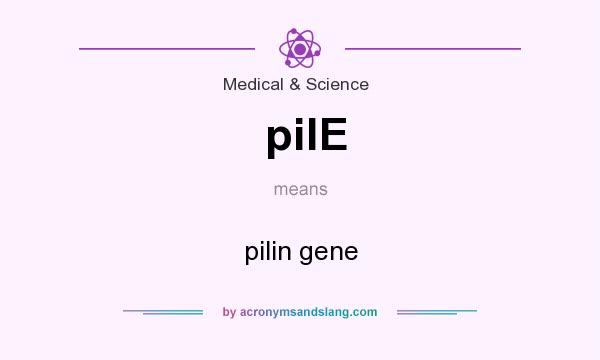 What does pilE mean? It stands for pilin gene