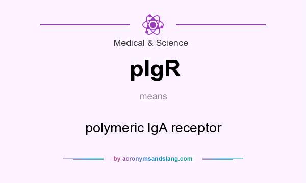 What does pIgR mean? It stands for polymeric IgA receptor