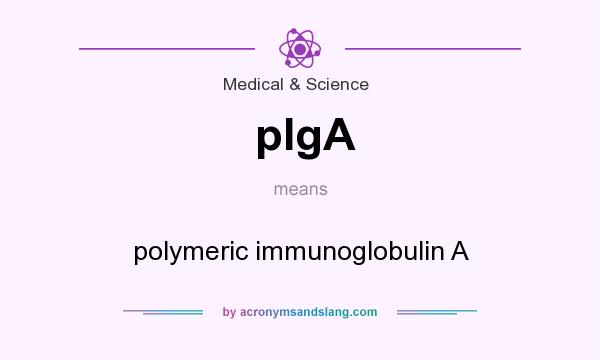 What does pIgA mean? It stands for polymeric immunoglobulin A