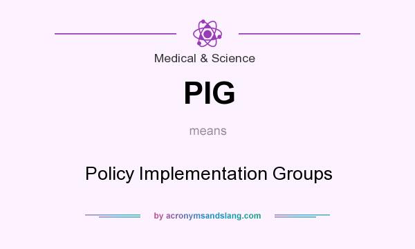 What does PIG mean? It stands for Policy Implementation Groups