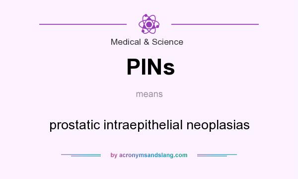 What does PINs mean? It stands for prostatic intraepithelial neoplasias