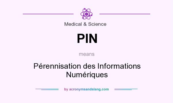 What does PIN mean? It stands for Pérennisation des Informations Numériques