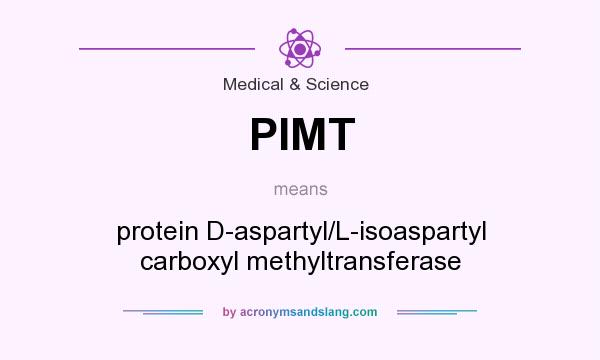 What does PIMT mean? It stands for protein D-aspartyl/L-isoaspartyl carboxyl methyltransferase