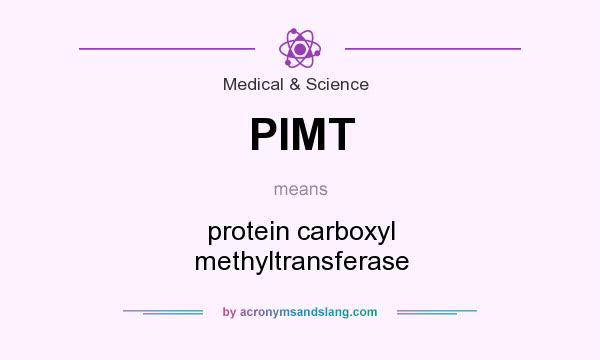 What does PIMT mean? It stands for protein carboxyl methyltransferase
