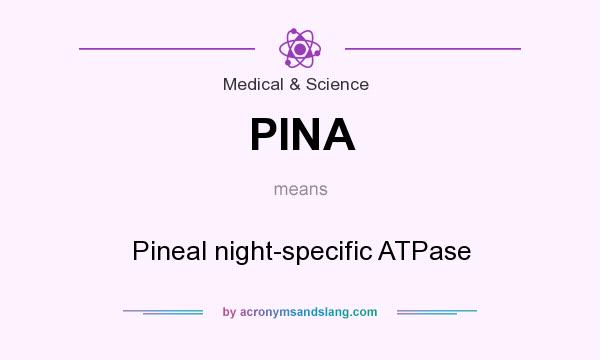What does PINA mean? It stands for Pineal night-specific ATPase