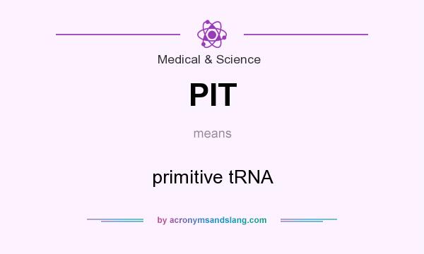What does PIT mean? It stands for primitive tRNA