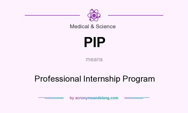 What does PIP mean? It stands for Professional Internship Program