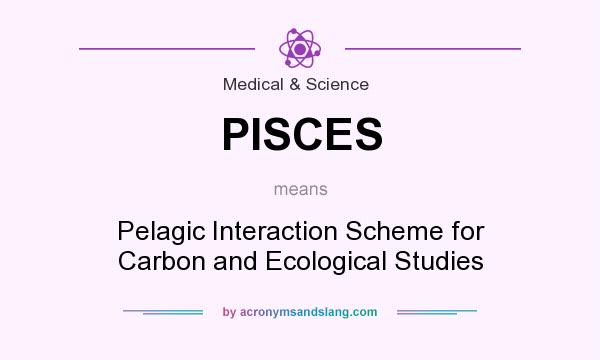 What does PISCES mean? It stands for Pelagic Interaction Scheme for Carbon and Ecological Studies