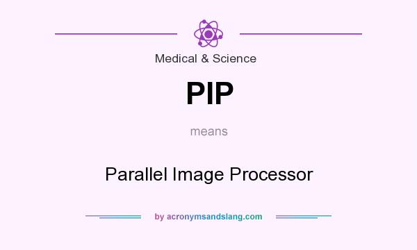 What does PIP mean? It stands for Parallel Image Processor