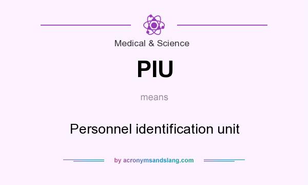 What does PIU mean? It stands for Personnel identification unit