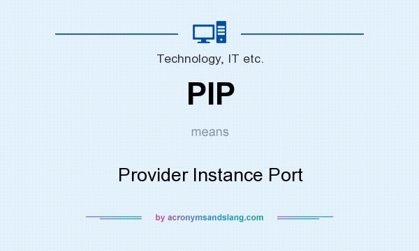 What does PIP mean? It stands for Provider Instance Port