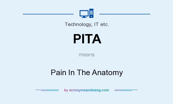 What does PITA mean? It stands for Pain In The Anatomy