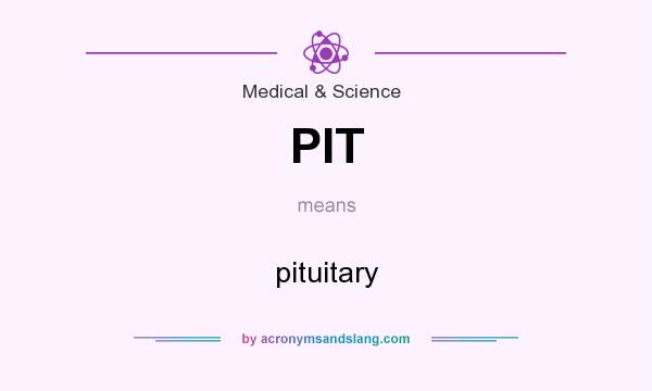 What does PIT mean? It stands for pituitary