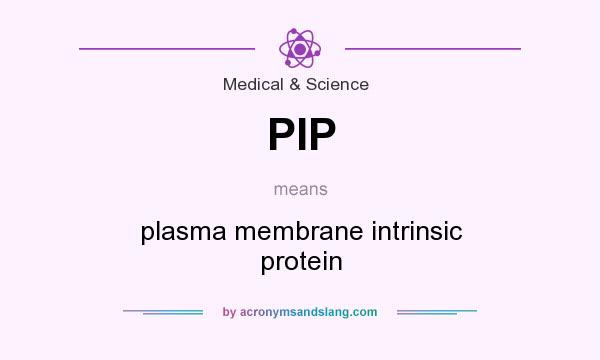 What does PIP mean? It stands for plasma membrane intrinsic protein