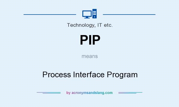 What does PIP mean? It stands for Process Interface Program