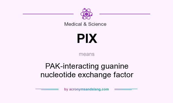 What does PIX mean? It stands for PAK-interacting guanine nucleotide exchange factor