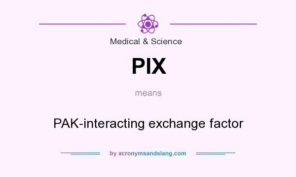 What does PIX mean? It stands for PAK-interacting exchange factor