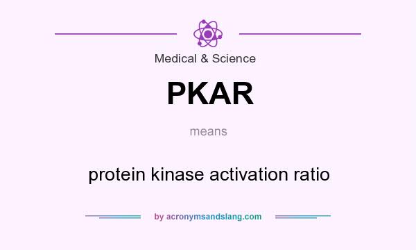 What does PKAR mean? It stands for protein kinase activation ratio