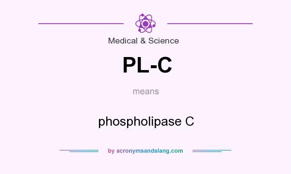 What does PL-C mean? It stands for phospholipase C