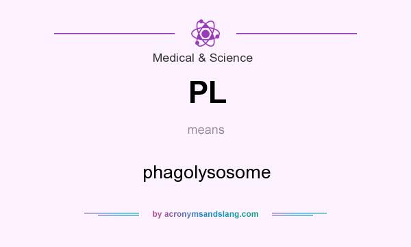 What does PL mean? It stands for phagolysosome