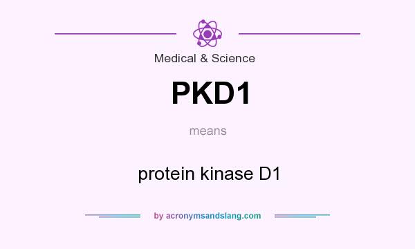 What does PKD1 mean? It stands for protein kinase D1