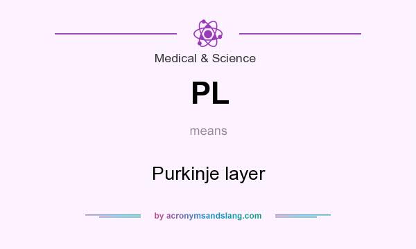 What does PL mean? It stands for Purkinje layer