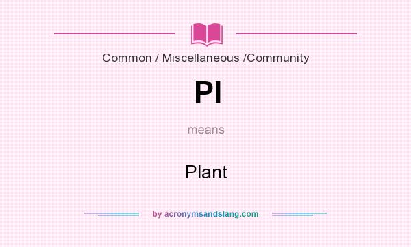What does Pl mean? It stands for Plant