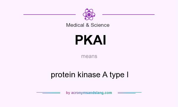 What does PKAI mean? It stands for protein kinase A type I
