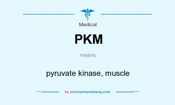What does PKM mean? It stands for pyruvate kinase, muscle
