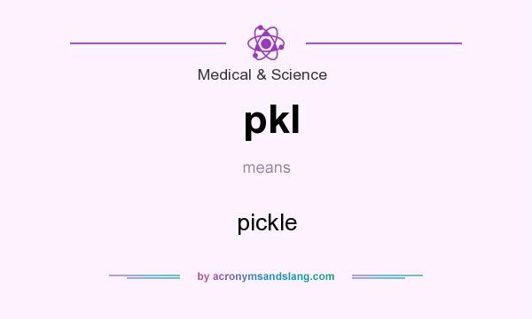 What does pkl mean? It stands for pickle