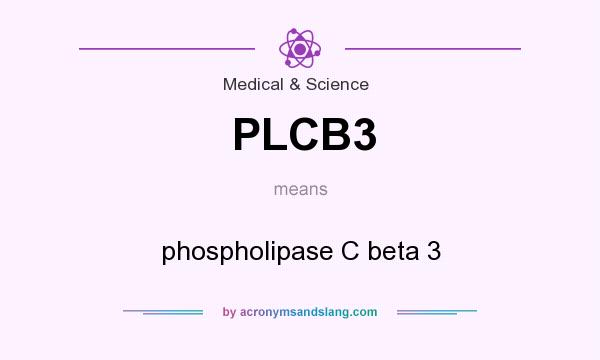 What does PLCB3 mean? It stands for phospholipase C beta 3