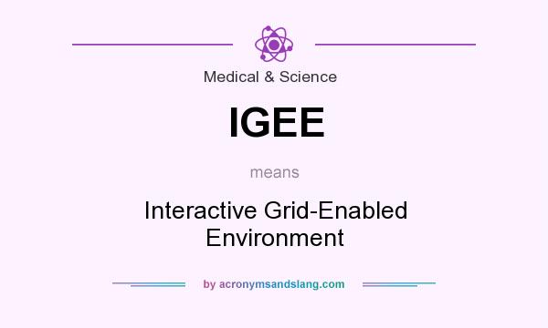 What does IGEE mean? It stands for Interactive Grid-Enabled Environment
