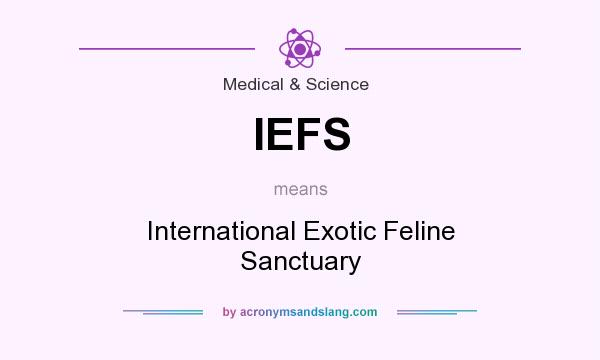 What does IEFS mean? It stands for International Exotic Feline Sanctuary