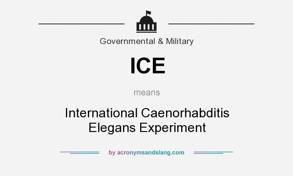 What does ICE mean? It stands for International Caenorhabditis Elegans Experiment