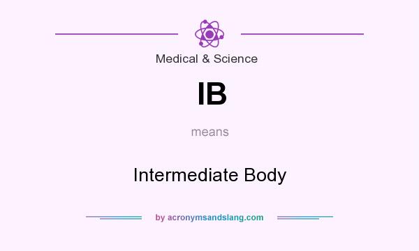 What does IB mean? It stands for Intermediate Body