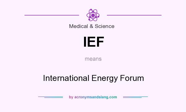 What does IEF mean? It stands for International Energy Forum