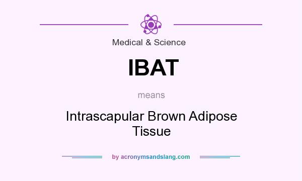What does IBAT mean? It stands for Intrascapular Brown Adipose Tissue