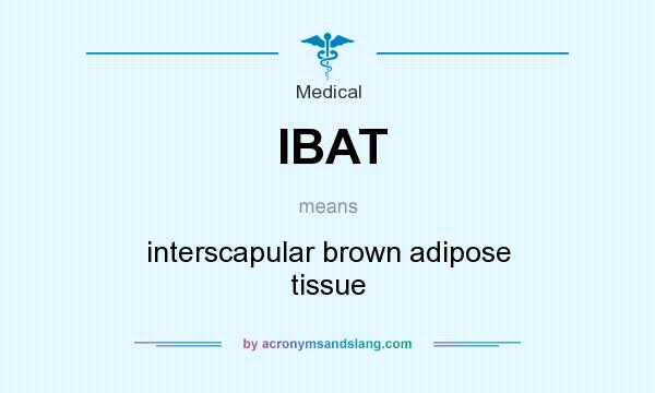 What does IBAT mean? It stands for interscapular brown adipose tissue