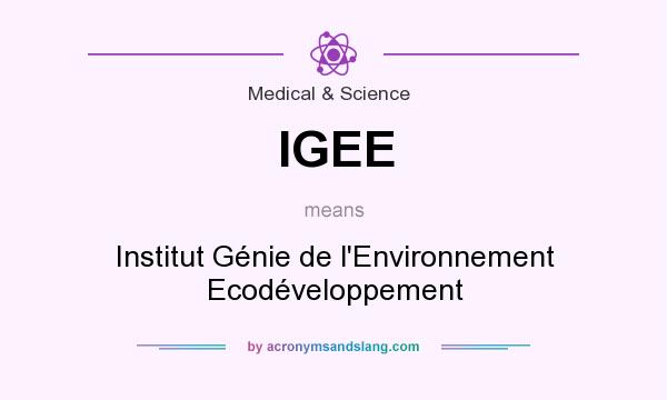 What does IGEE mean? It stands for Institut Génie de l`Environnement Ecodéveloppement
