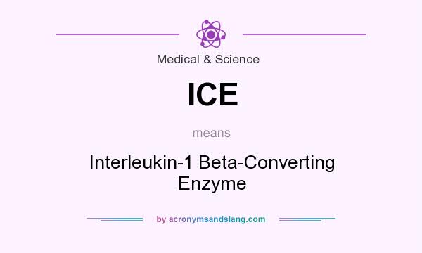 What does ICE mean? It stands for Interleukin-1 Beta-Converting Enzyme
