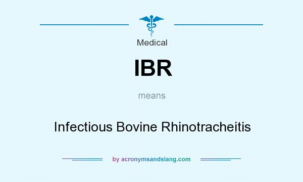 What does IBR mean? It stands for Infectious Bovine Rhinotracheitis