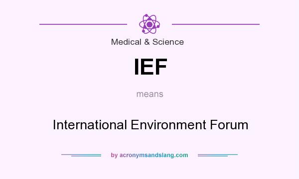 What does IEF mean? It stands for International Environment Forum
