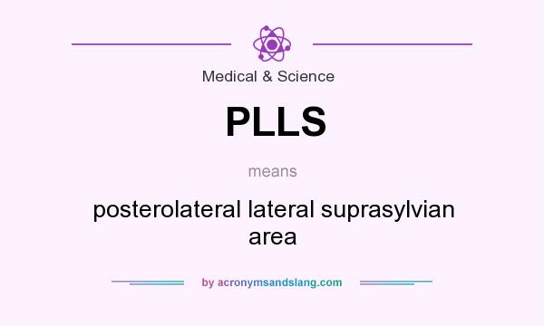 What does PLLS mean? It stands for posterolateral lateral suprasylvian area