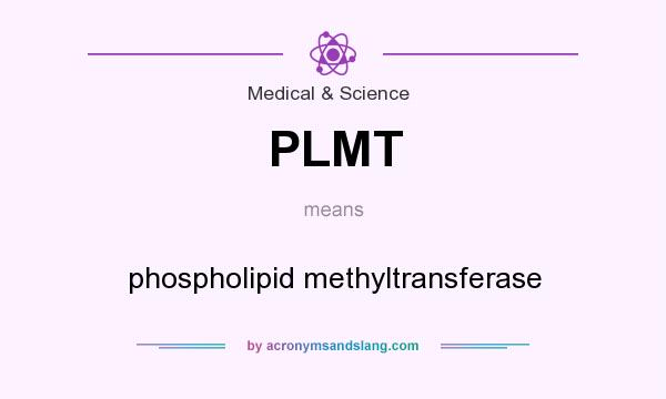 What does PLMT mean? It stands for phospholipid methyltransferase