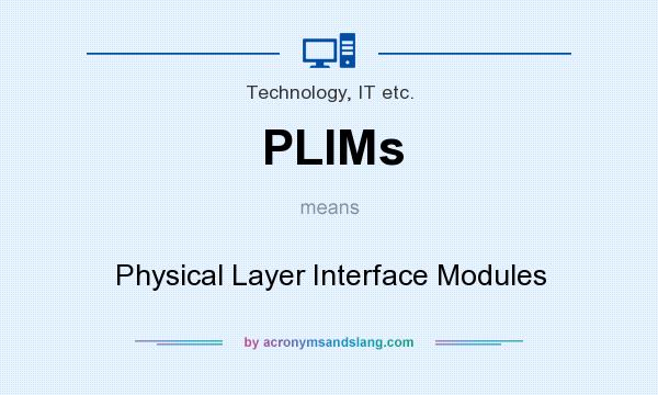 What does PLIMs mean? It stands for Physical Layer Interface Modules