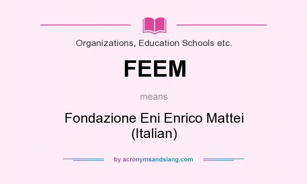 What does FEEM mean? It stands for Fondazione Eni Enrico Mattei (Italian)