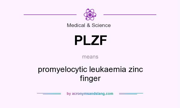What does PLZF mean? It stands for promyelocytic leukaemia zinc finger