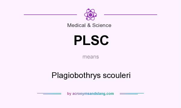 What does PLSC mean? It stands for Plagiobothrys scouleri