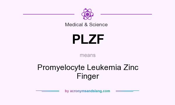 What does PLZF mean? It stands for Promyelocyte Leukemia Zinc Finger