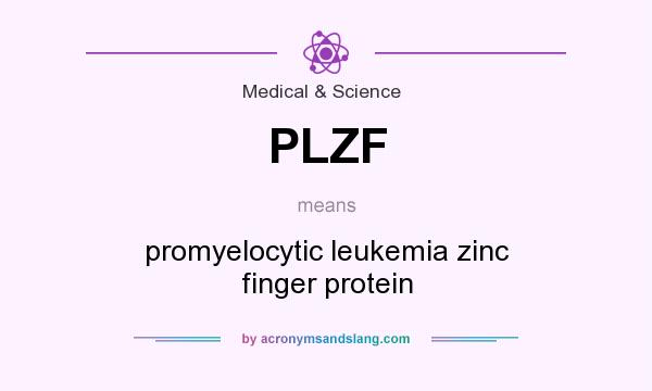 What does PLZF mean? It stands for promyelocytic leukemia zinc finger protein